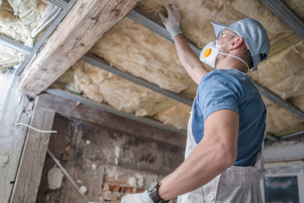 Best Commercial Insulation in Logan, UT